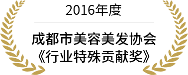 荣誉2